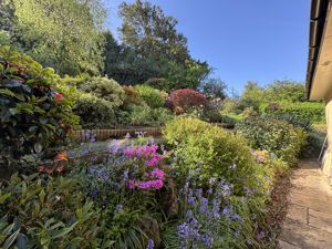 Rear garden- click for photo gallery